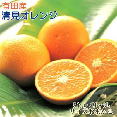 ふるさと納税 由良町 [濃厚]有田産清見オレンジ約5kg(M〜3Lサイズおまかせ 青秀以上)(由良町)