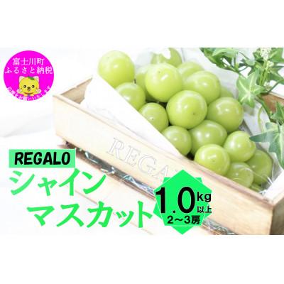 ふるさと納税 富士川町 [令和8年度先行予約]頬張る幸福感 〜緑の宝石・シャインマスカット〜 1kg以上(2〜3房)