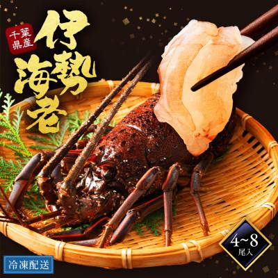 ふるさと納税 勝浦市 勝浦産活〆いせえび2kg