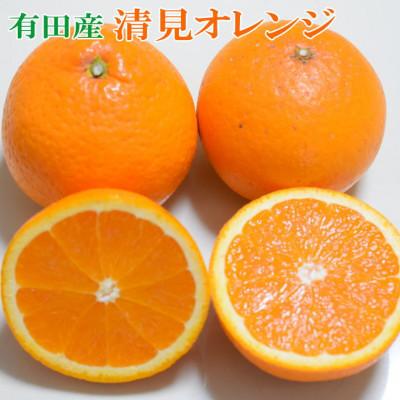 ふるさと納税 上富田町 [濃厚]有田産清見オレンジ約5kg(M〜3Lサイズおまかせ)ご家庭用(上富田町)