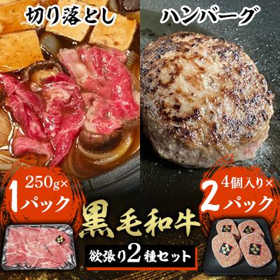 ふるさと納税 鴻巣市 黒毛和牛欲張り2種セット[切り落とし&amp;ハンバーグ]