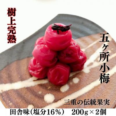 ふるさと納税 南伊勢町 伊勢志摩産 梅干 五ヶ所小梅 田舎味 200g 2個 無添加 とろける 樹上 完熟 塩分 16%