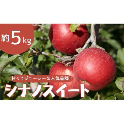 ふるさと納税 中野市 りんご シナノスイート 約5kg