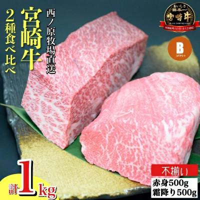 ふるさと納税 小林市 [生産者まかない用特別提供品]宮崎牛部位お任せ不揃いブロック 1kg(C033)(小林市)