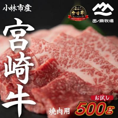 ふるさと納税 小林市 [生産者直送]宮崎牛おためし焼肉 500g×1P(C196)(小林市)