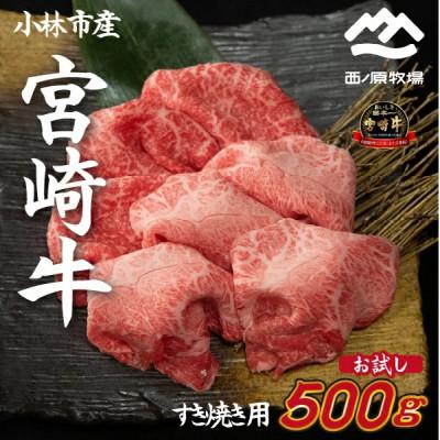ふるさと納税 小林市 [生産者直送]宮崎牛おためしすき焼き用 500g×1P(C197)(小林市)