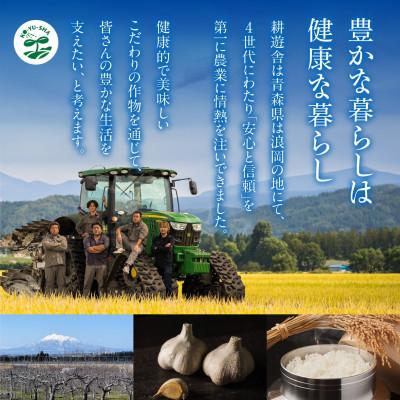 ふるさと納税 青森市 青森県産バラ黒にんにく くろすけ 120g×20袋(合計