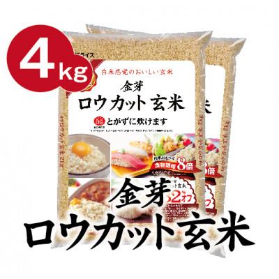 ふるさと納税 田尻町 【4kg】金芽ロウカット玄米 4kg(2kg×2袋)ふっくら柔らかい美味しさ! | 