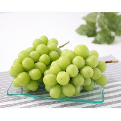 ふるさと納税 飯田市 【大人気!】長野県産・シャインマスカット(約1kg) 秀品〈2026年9月下旬〜11月上旬発送〉 |  | 01