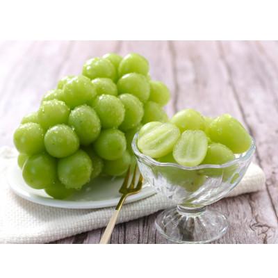 ふるさと納税 飯田市 【大人気!】長野県産・シャインマスカット(約1kg) 秀品〈2026年9月下旬〜11月上旬発送〉 |  | 02
