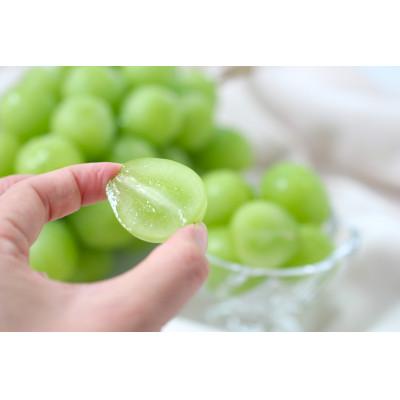 ふるさと納税 飯田市 【大人気!】長野県産・シャインマスカット(約1kg) 秀品〈2026年9月下旬〜11月上旬発送〉 |  | 03