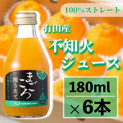 ふるさと納税 美浜町 [まごころ搾りたて]不知火 100%ジュース 180ml 6本