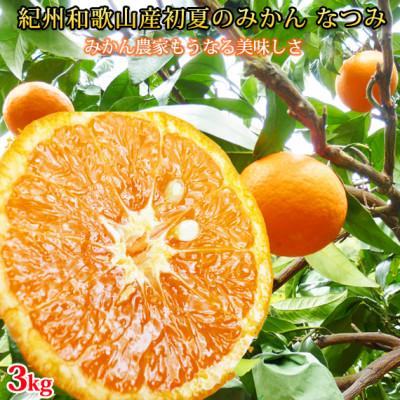 ふるさと納税 日高川町 初夏のみかん なつみ3kg