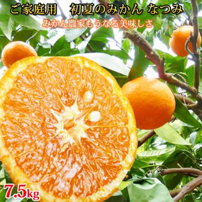 ふるさと納税 日高川町 [ご家庭用訳アリ]初夏のみかん なつみ 7.5kg