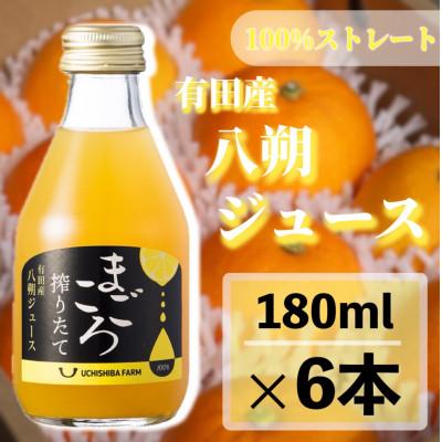 ふるさと納税 美浜町 [まごころ搾りたて]八朔 100%ジュース 180ml 6本