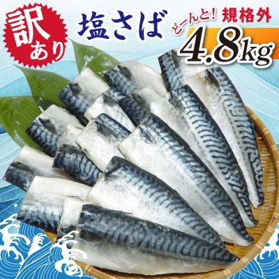 ふるさと納税 神栖市 [訳あり]塩さば どーんと! 4.8kg