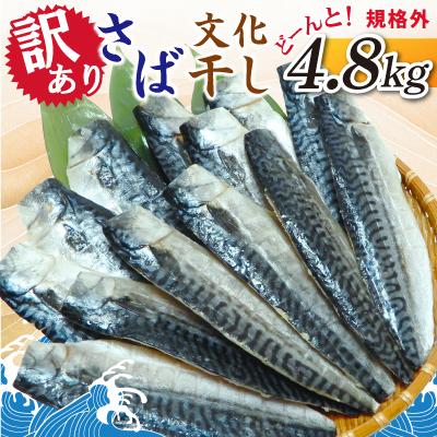 ふるさと納税 神栖市 [訳あり]さば文化干し どーんと! 4.8kg