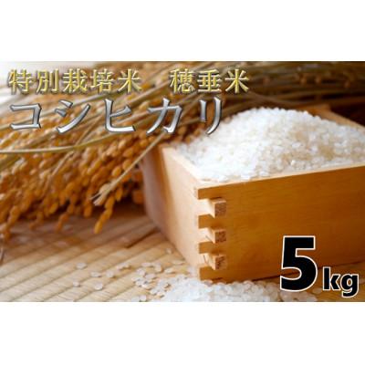 ふるさと納税 長門市 特別栽培米穂垂米コシヒカリ(精米)5kg