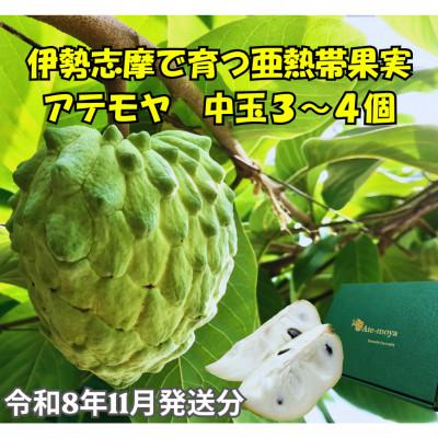 ふるさと納税 南伊勢町 伊勢志摩産 アテモヤ 中玉 3〜4個入 約1.2kg 令和8年11月発送 南伊勢ブランド認定フルーツ