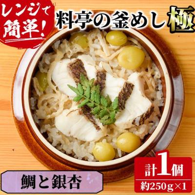 ふるさと納税 門川町 料亭の釜めし・極[鯛と銀杏]
