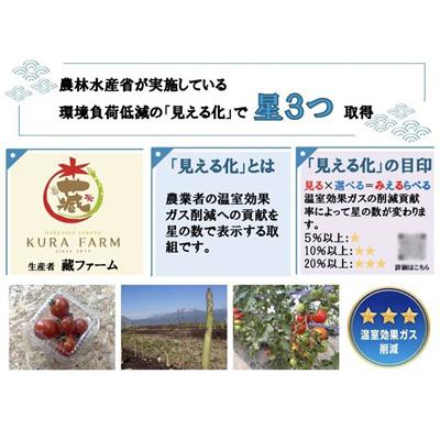 ふるさと納税 富良野市 【2027年発送先行受付】北海道ふらの産　完熟ミニトマト〈甘っこ・カラートマト〉約3kgサイズ混合 |  | 03