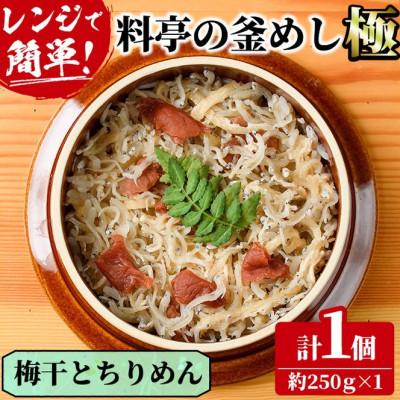 ふるさと納税 門川町 料亭の釜めし・極[梅干しとちりめん]