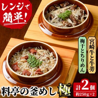 ふるさと納税 門川町 料亭の釜めし・極[宮崎牛と牛蒡][梅干しとちりめん]