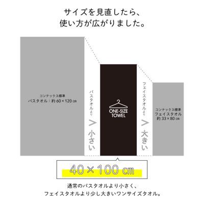 ふるさと納税 今治市 (今治タオル) ワンサイズタオル (ブルー)【I001800FT1B】の画像