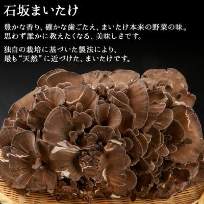 ふるさと納税 南魚沼市 新潟県 南魚沼産 厳選 国産 石坂 高級 産地直送 まいたけ 2kg(1kg×2箱)_1