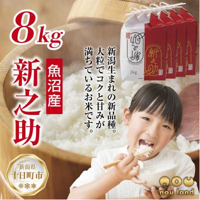 ふるさと納税 十日町市 【令和8年産】 【新品種】 魚沼産 新之助 8kg