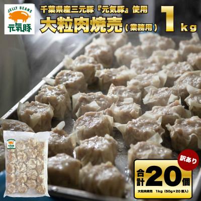 ふるさと納税 多古町 訳あり 元気豚 大粒肉焼売 1kg(50g×20個入り)