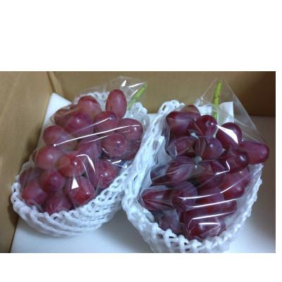 ふるさと納税 長野県 クイーンルージュ(R) [ 栽培期間中除草剤不使用 ]2房 高糖度の高級葡萄[ 長野県東御市産 ]