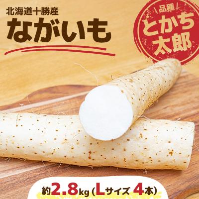 ふるさと納税 音更町 北海道十勝産 ながいも2.8kg Lサイズ4本[B70]