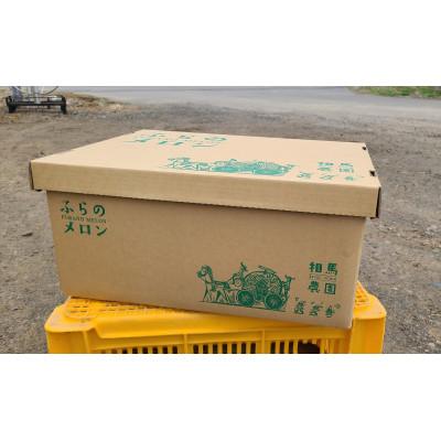 ふるさと納税 富良野市 【2027年発送】ふらのメロン3玉(1玉約1.7〜2kg)赤肉メロン農家直送 富良野メロン 相馬農園 |  | 01