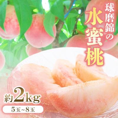 ふるさと納税 錦町 [先行受付]2026年発送 熊本県 錦町 錦の水蜜桃 約2kg 5玉〜8玉 [古里農園]