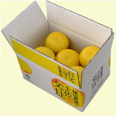 ふるさと納税 土佐市 土佐文旦大玉(4L、3L)サイズ4.5kg |  | 02