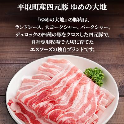 ふるさと納税 平取町 【平取町産四元豚】ゆめの大地豚バラスライス　200g×10パック計2kg |  | 02