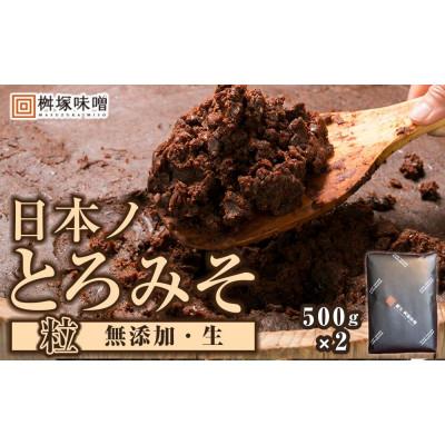 ふるさと納税 豊田市 [無添加/生] 日本ノとろみそ(粒) 500g×2