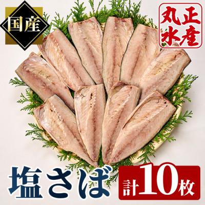 ふるさと納税 門川町 国産!大塩さば(10枚)