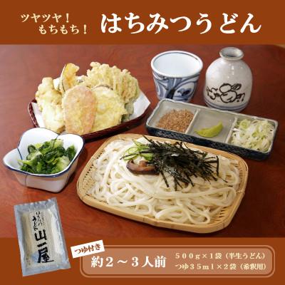 ふるさと納税 吉岡町 はちみつうどん500g×1袋 約2〜3人前(半生うどん)