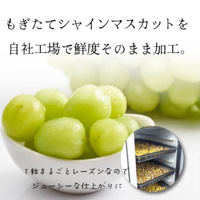 ふるさと納税 山梨市 山梨県産シャインマスカットのレーズン 30g×3袋 無添加、砂糖不使用のおやつ【オイルフリー】 |  | 01