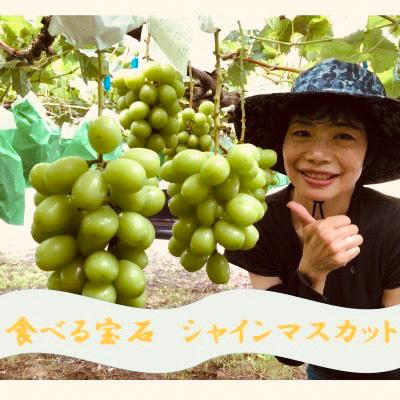 ふるさと納税 南アルプス市 厳選シャインマスカット6〜10房(5kg)メイア