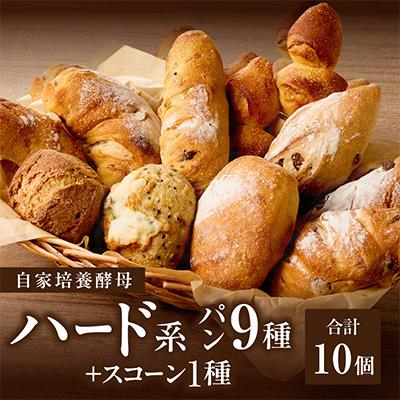 ふるさと納税 木津川市 自家培養酵母で焼くハード系パン9種+スコーン1種セット!