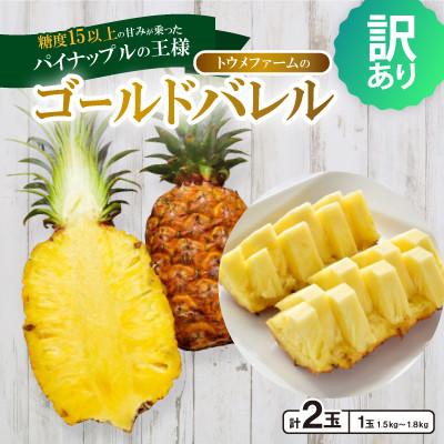 ふるさと納税 本部町 【2027年6月下旬から順次発送・訳あり】トウメファームのゴールドバレル2玉 | 