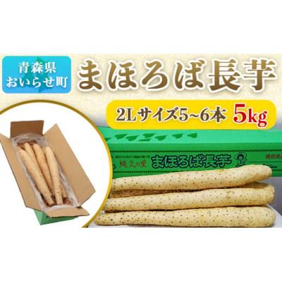 ふるさと納税 おいらせ町 まほろば長芋5kg おいらせ町 青森県産