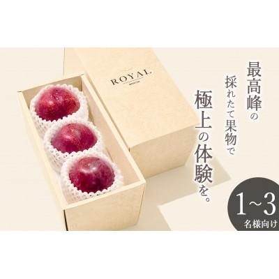 ふるさと納税 甲州市 <2026年先行受付>甲州市産 大玉 貴陽 3個(約800g)