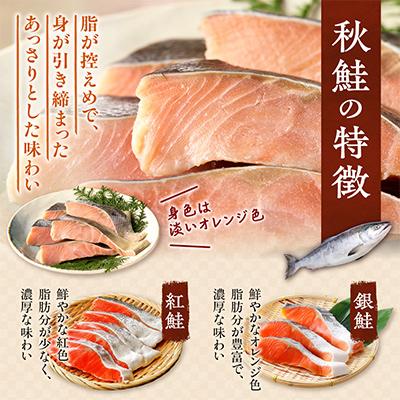 ふるさと納税 斜里町 【訳あり】北海道斜里町産　無塩天然秋鮭切身 3kg【あっさり白鮭】 |  | 01
