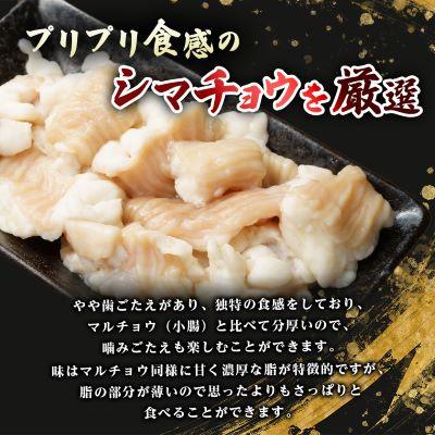 ふるさと納税 大野城市 訳あり!博多味噌もつ鍋　10人前(2人前×5セット) |  | 02