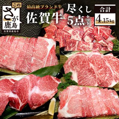 ふるさと納税 鹿島市 [5種のお肉]佐賀牛バラエティセット 合計4.15kg