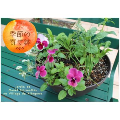 ふるさと納税 北川村 北川村「モネの庭」から季節の寄せ鉢(小)[北川村モネの庭マルモッタン]